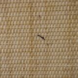 Headboard rattan and caning 2 people