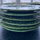 Lot of 6 plates cabbage leaf dabbling