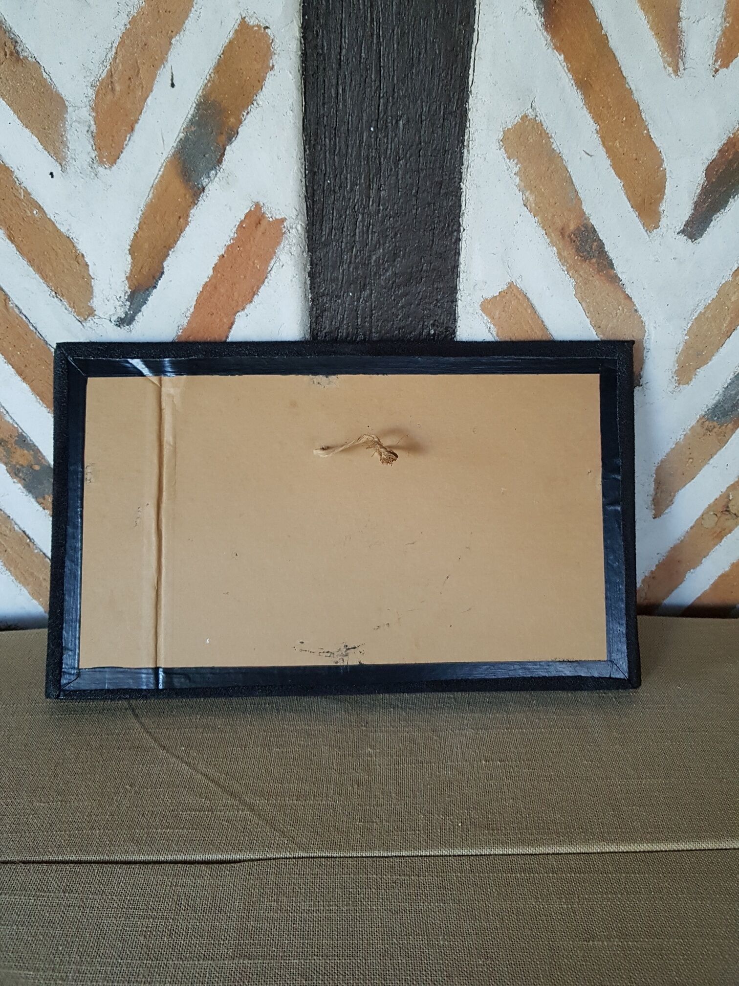 Table frame entomology butterflies under glass
