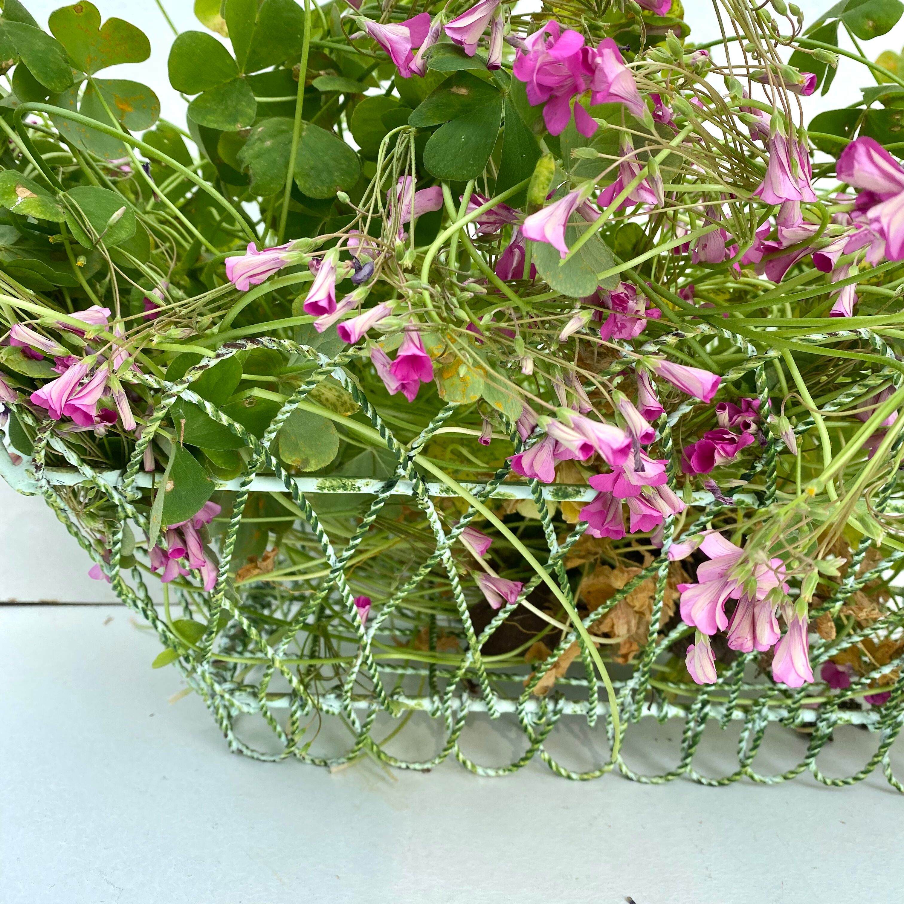 Twisted metal planter