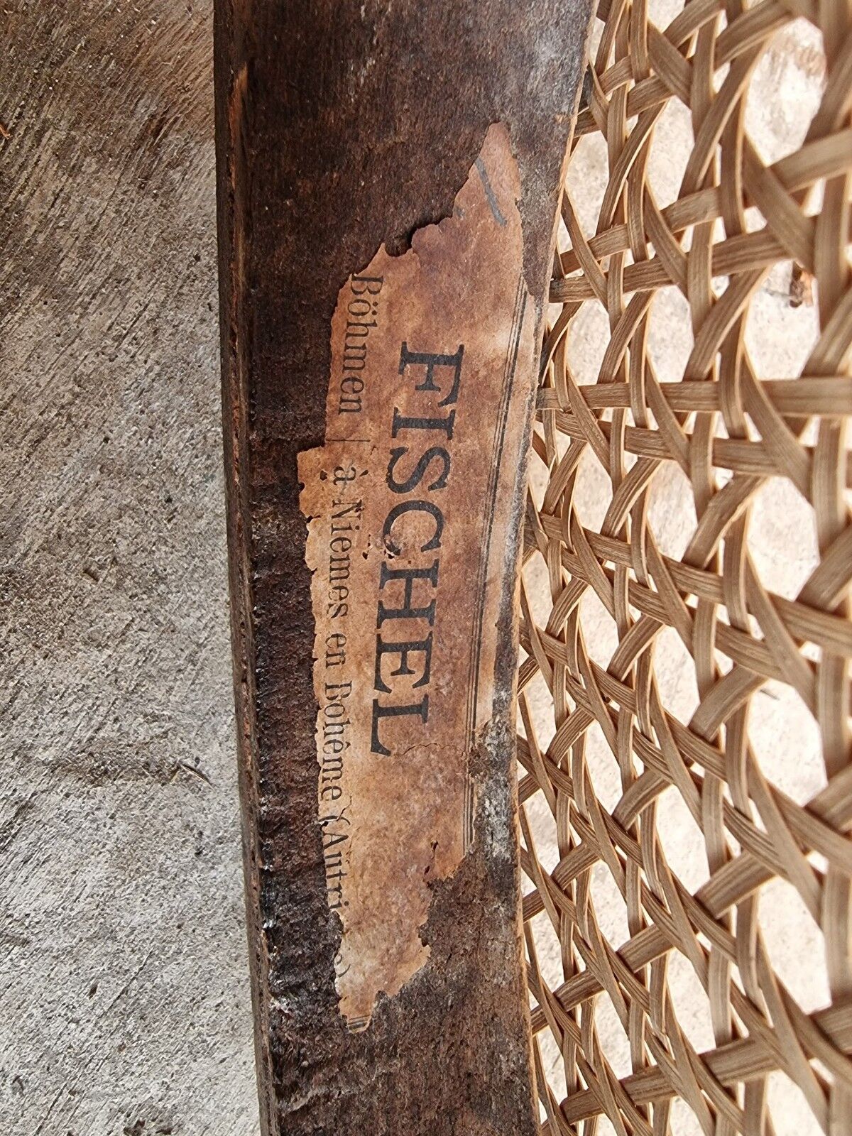 Antique chairs by Fischel