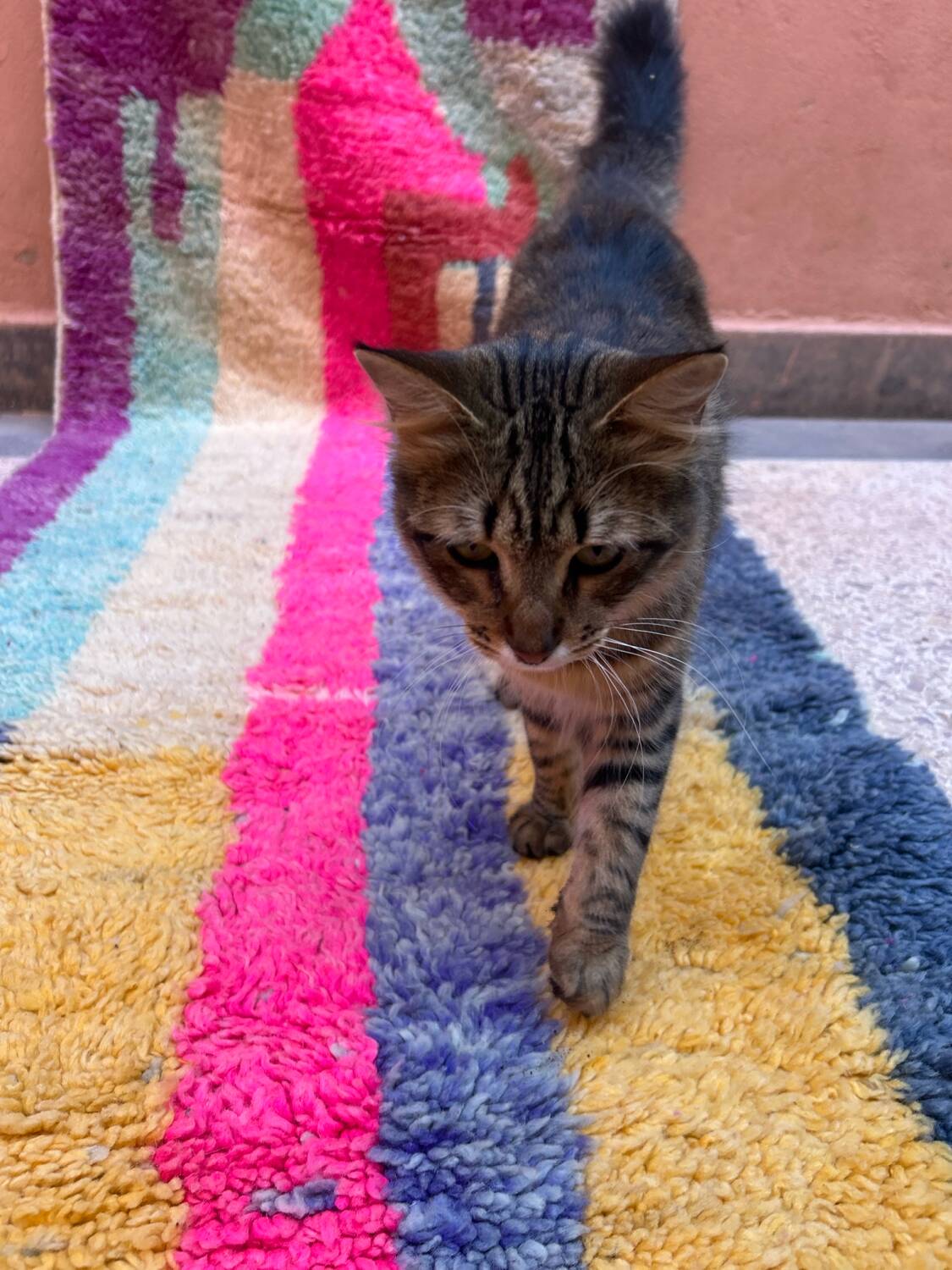 Boujaad hallway carpet