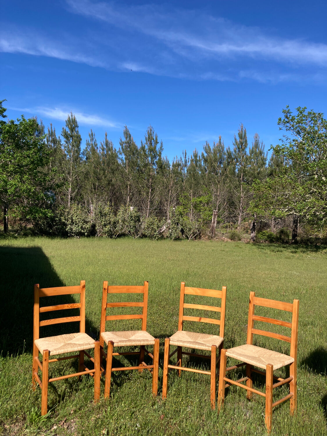 4 straw chairs in vintage pine wood 1980 1990