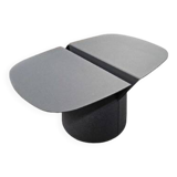 Leaf Coffee Table - Cider Model