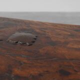 17th Century Spanish Brutalist coffee table in wood and wrought iron