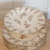 9 Louis XV plates from Sarreguemines
