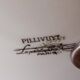Servant Pillivuyt