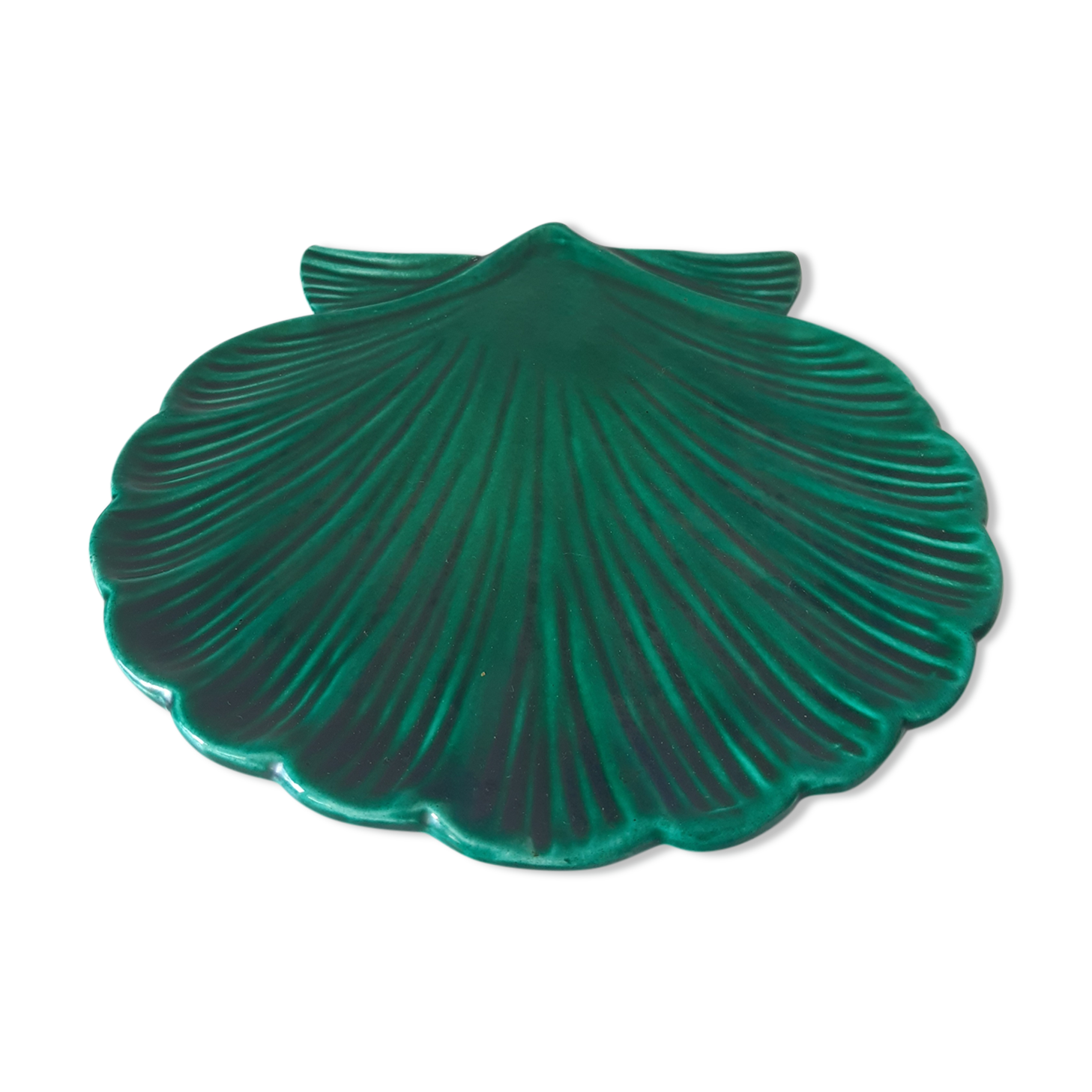 Cup shell vallauris