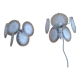 Pair of Gino Vistosi Murano wall lamps 60/70s