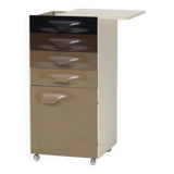 Raymond Loewy trolley cabinet Liquor Bar Df2000