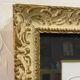 Insect frame