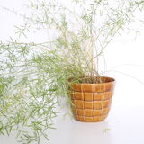 Ancient ceramic pot cover, Saint Clement earthenware, vintage