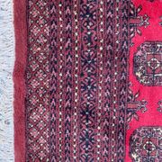 Carpet turkmen pakistan bukhara 195x216 cm