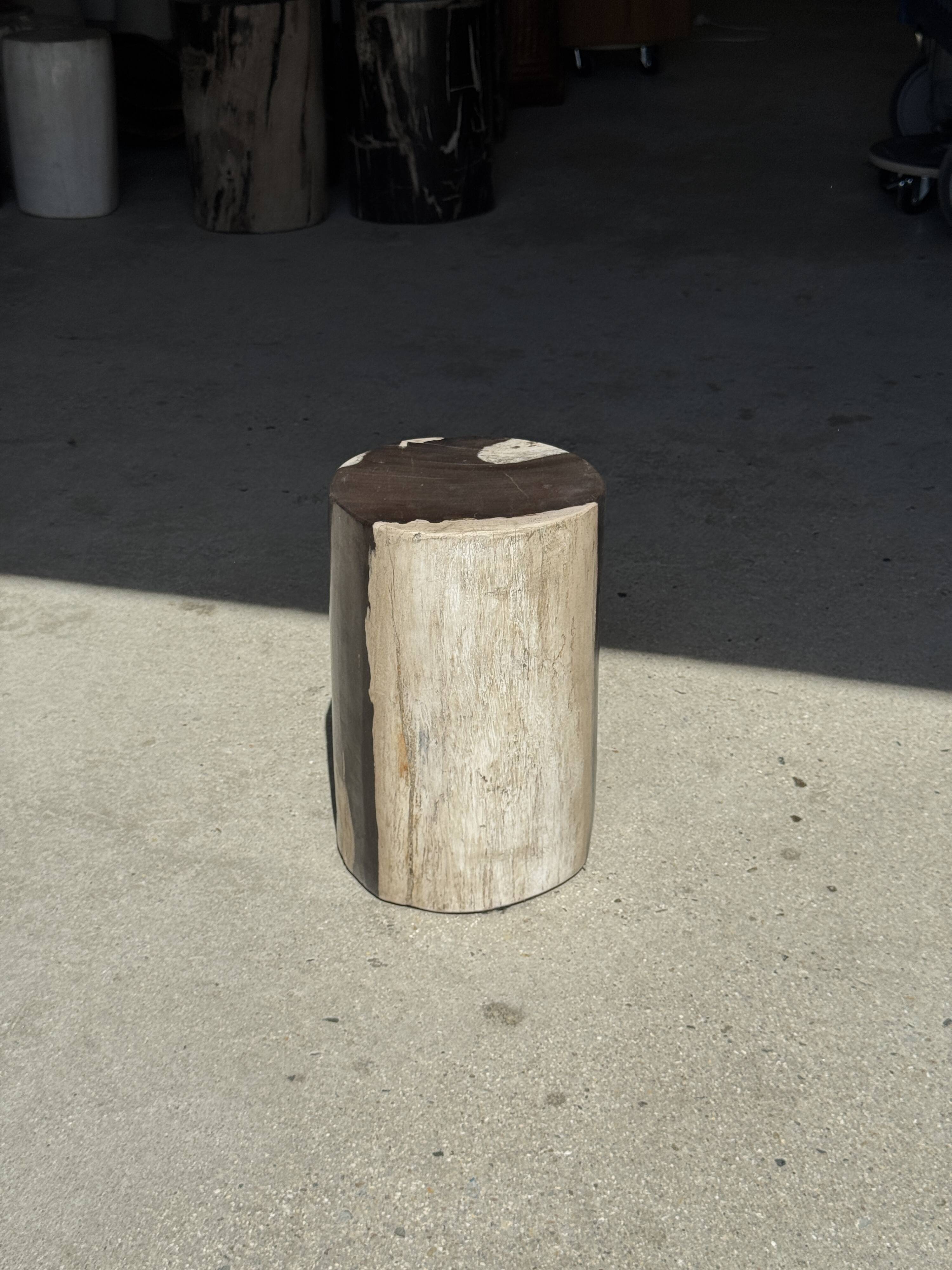 Small side table in black and white petrified wood H28 D18