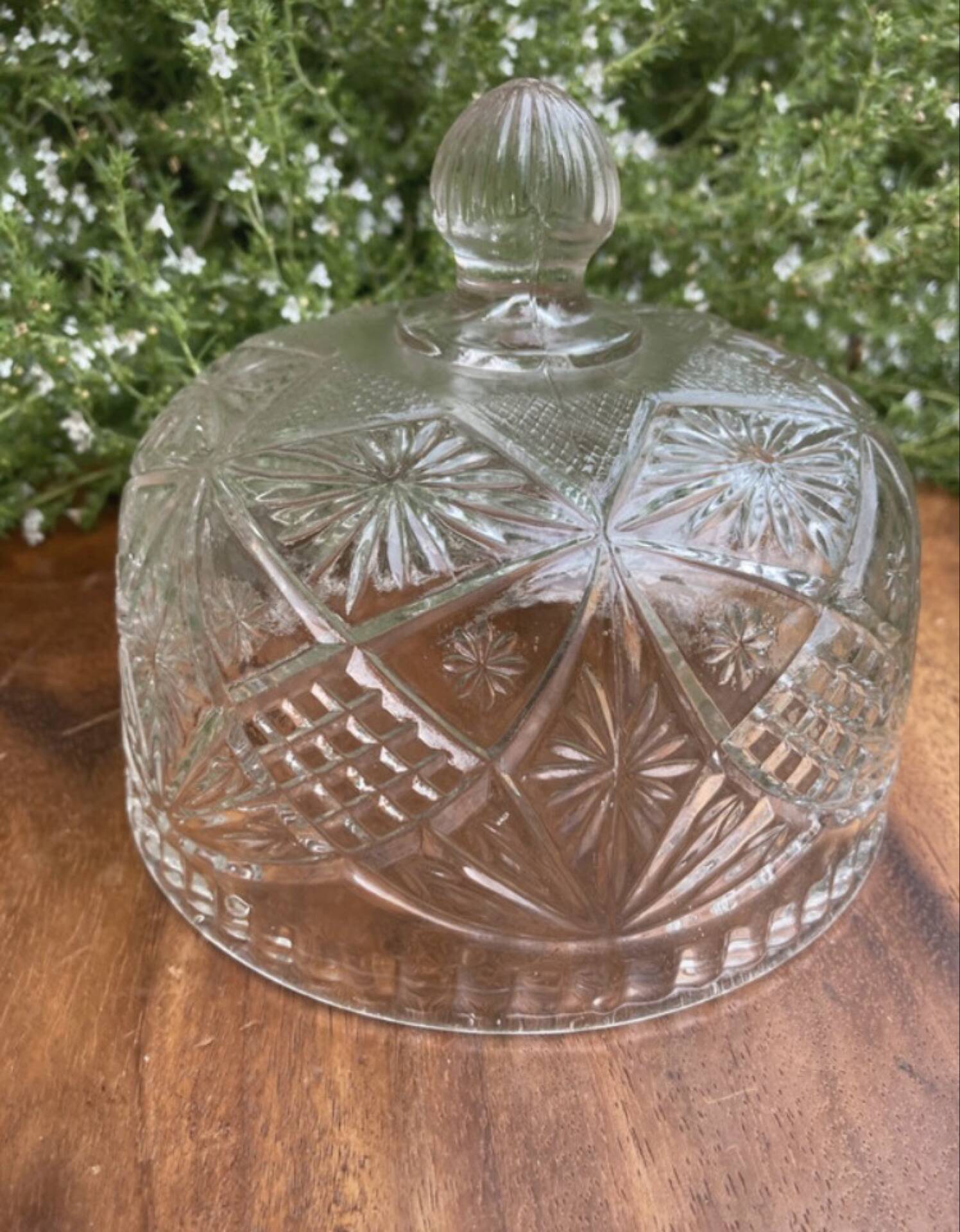 Pressed and moulded glass cheese dome