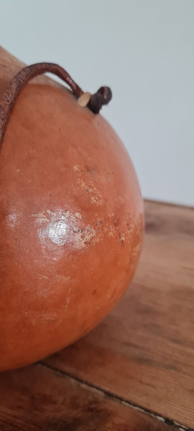 20th Century Brazilian Calabash Gourd
