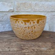 Vintage stoneware salad bowl from Niderviller, Fauve model, 1960s/70s, 24.5cm.