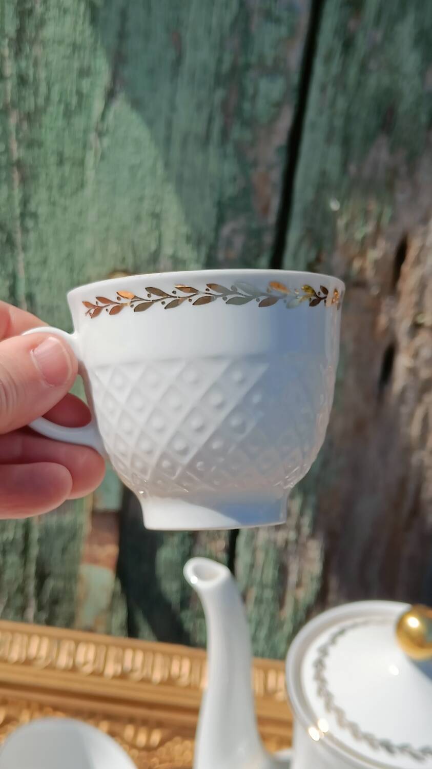 Vintage coffee service in porcelain Seltmann Weiden Bavaria –