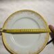 Haviland Limoges plates – Gold gilding – Prestige service