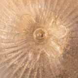 Italian Transparent Murano Glass Ceiling with Flower