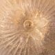 Italian Transparent Murano Glass Ceiling with Flower