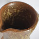 Pitcher in Berry sandstone