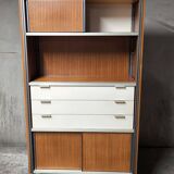Vintage EFA bookcase and shelves by Georges Frydman