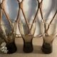 3 Luminarc smoked glass orangeade glasses