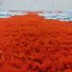 Berber Moroccan rug decorated 250cm x 150cm