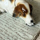 Goebel porcelain dog figurine