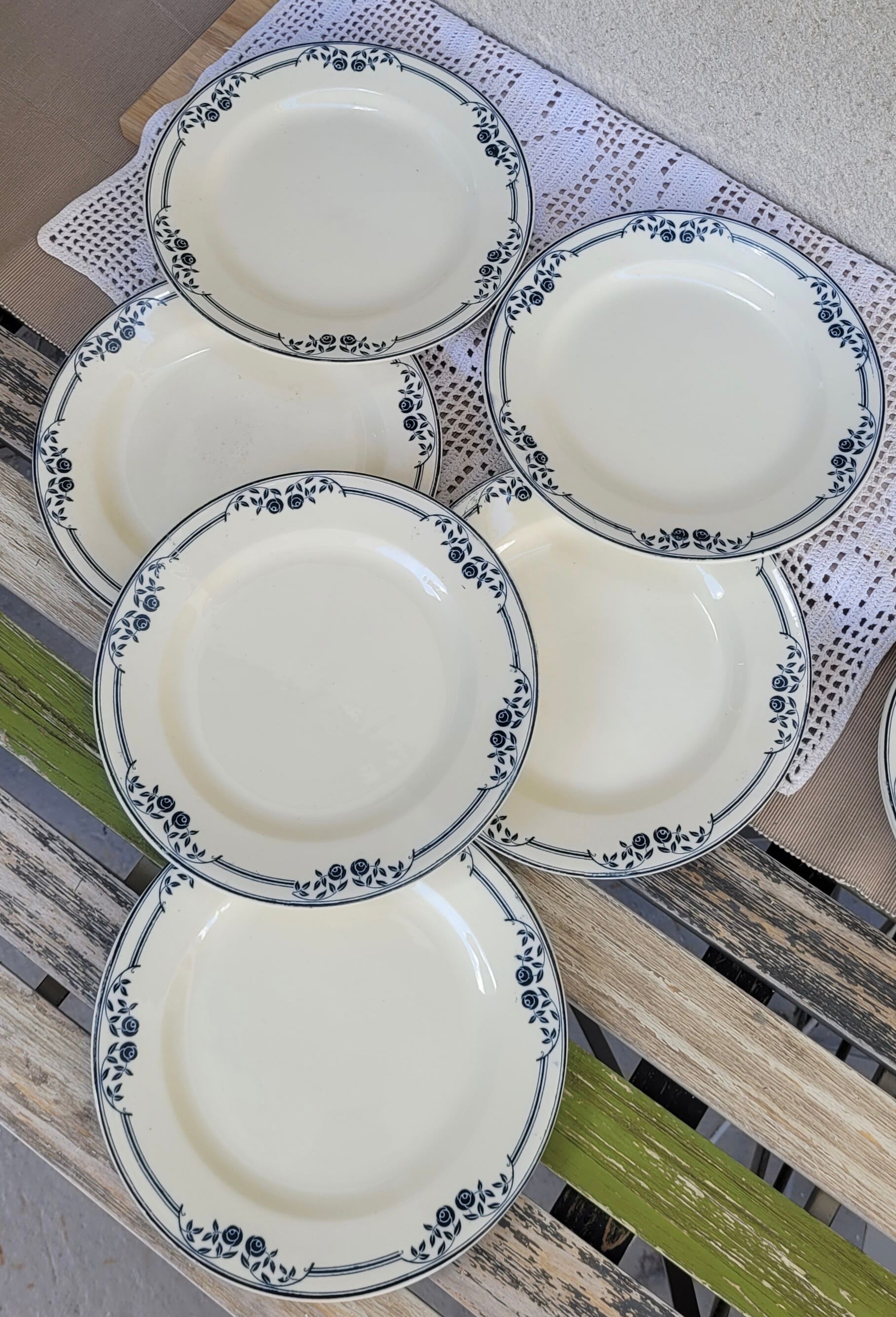 Set of 6 flat plates Salins Model Saussure A.B. Iron Earth