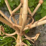 Rattan parrot coat rack 70'