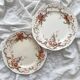 2 polychrome ironstone dinner plates "Wentworth" by Emile Bourgeois