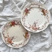 2 polychrome ironstone dinner plates "Wentworth" by Emile Bourgeois