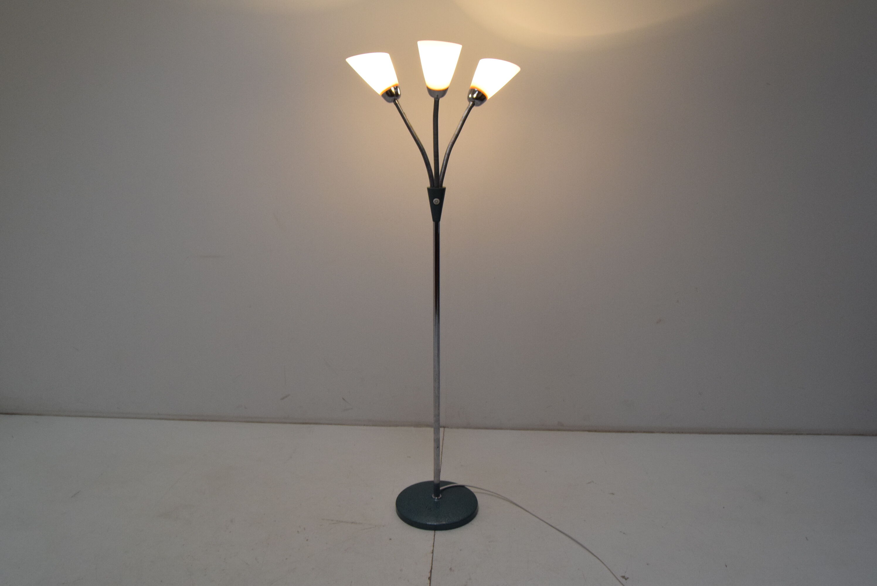 Mid-century Floor Lamp,Adjustable shades,1960's.