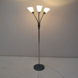 Mid-century Floor Lamp,Adjustable shades,1960's.