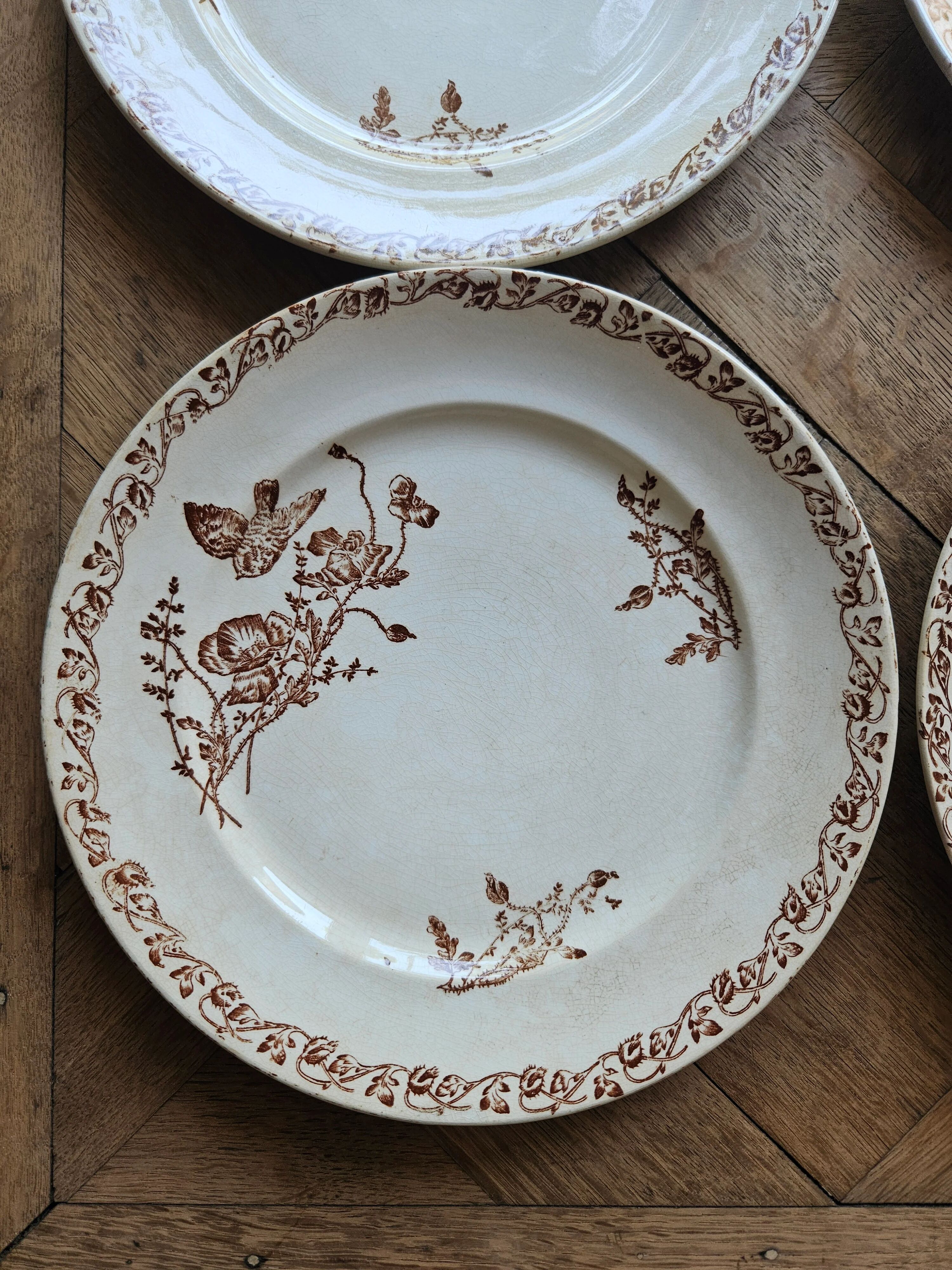 Flat plates, ironstone, poppies