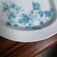 Belle Epoque Limoges porcelain dish with handle