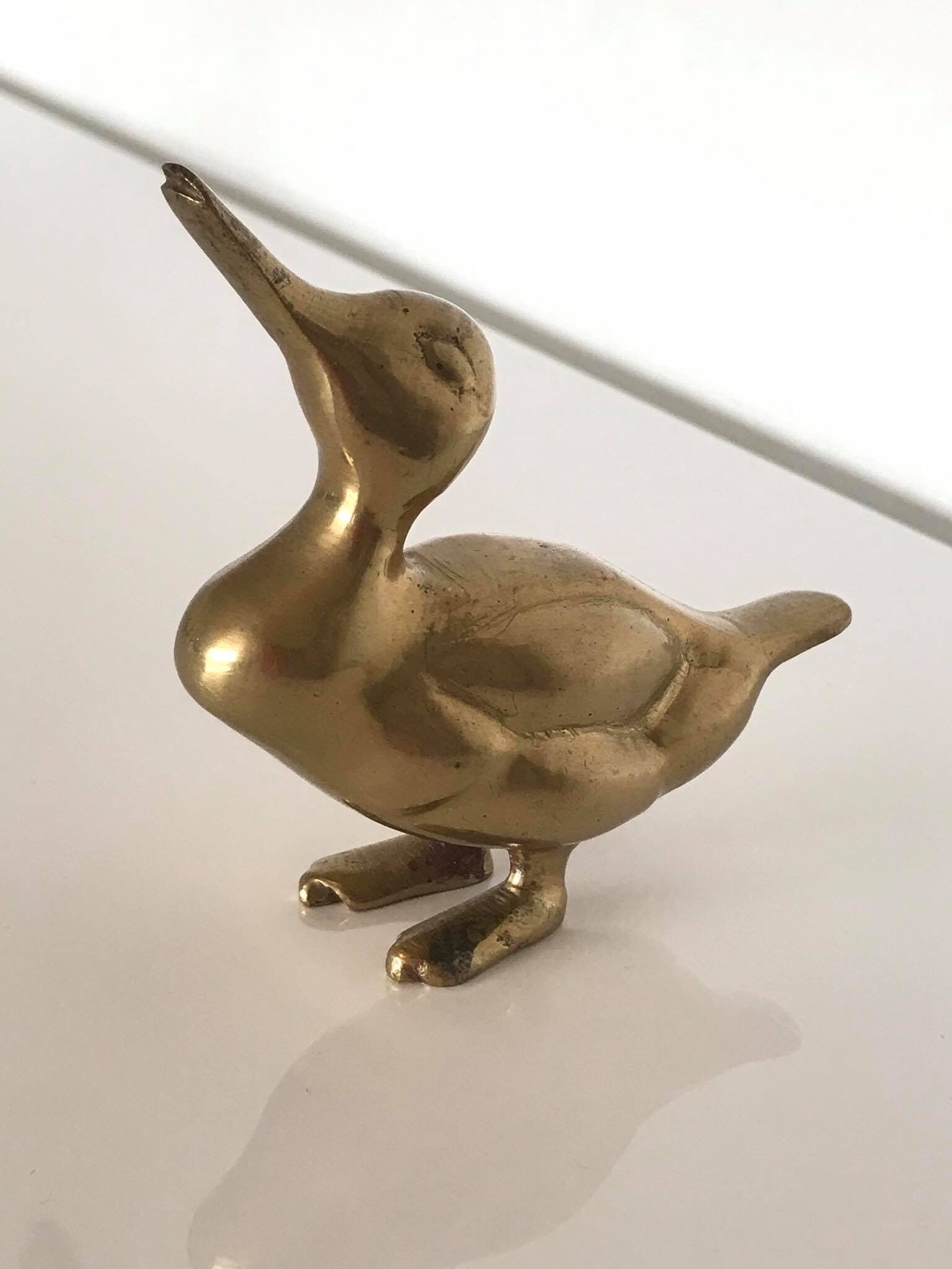 Lot of three ducklings