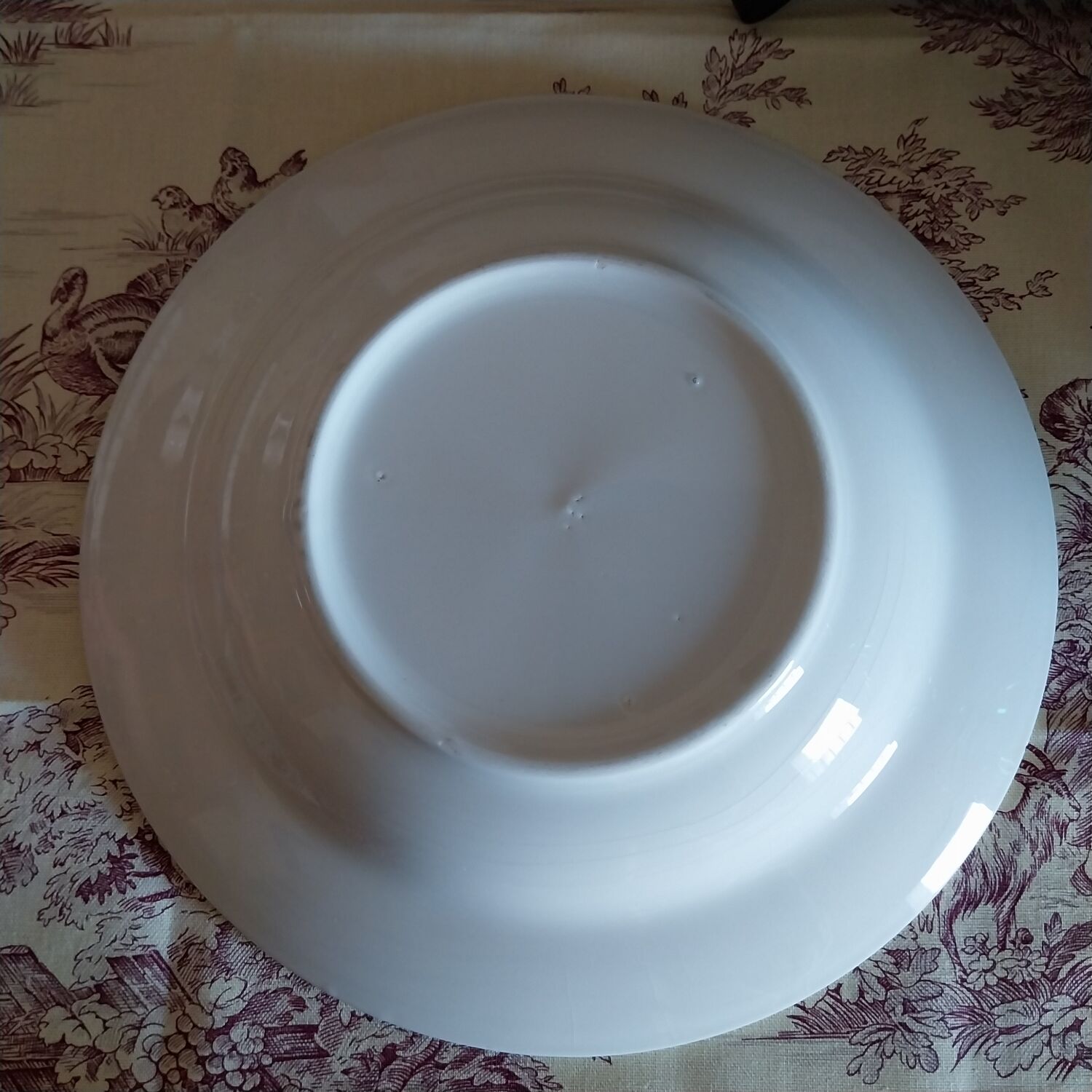 Old plates with blue floral decoration.