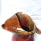 Vallauris free-form ceramic art vase stamped DC