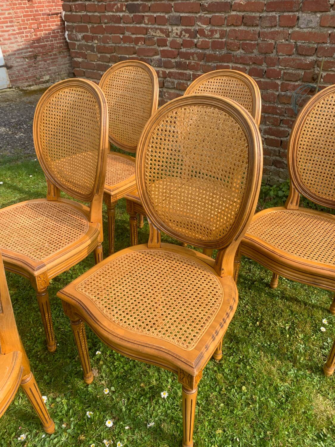 Set of 6 Louis XVI style cane medallion chairs