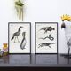 Lithograph engraving chimera animal - the cariapocampus