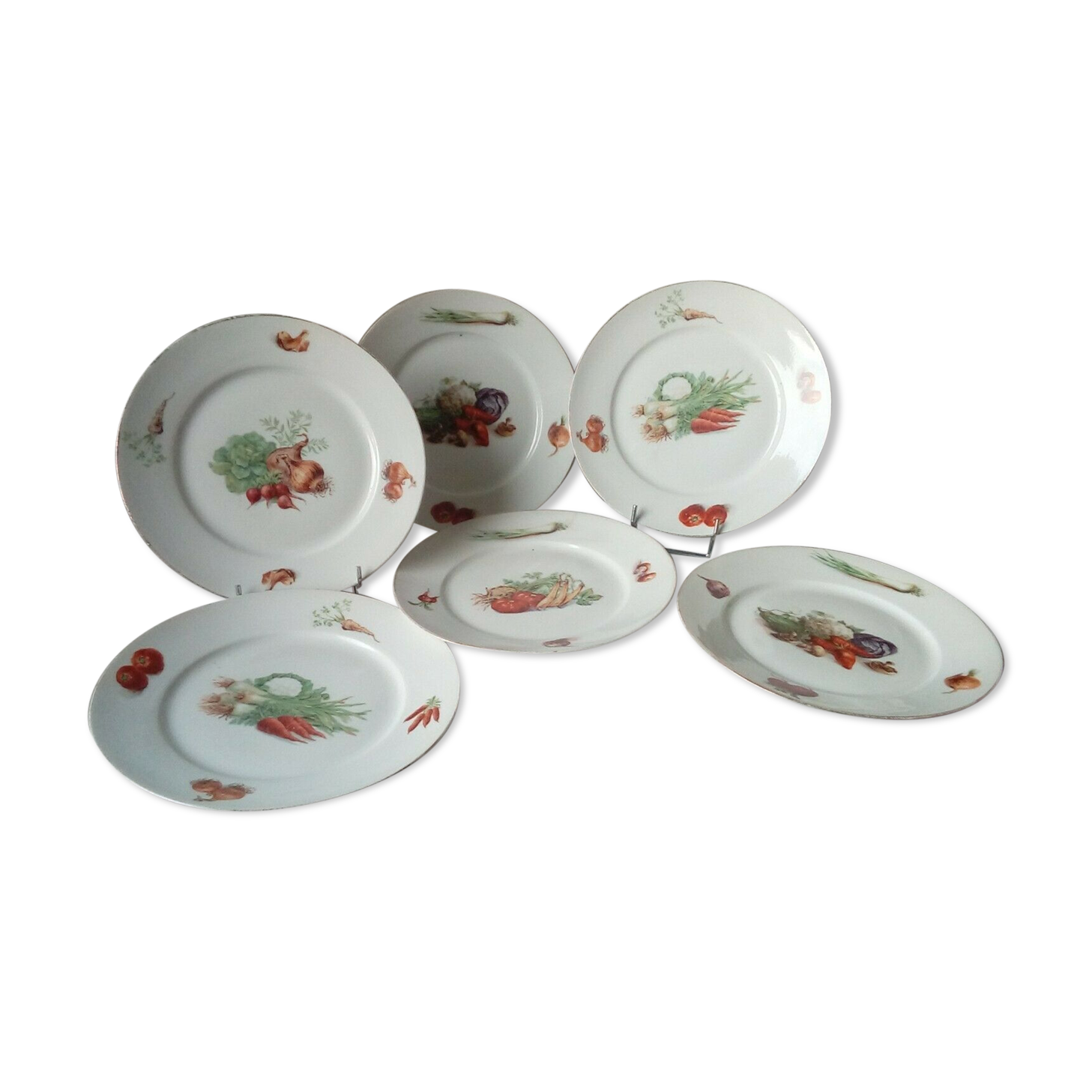 6 FLAT PORCELAIN PLATES THICK DECOR VEGETABLES 4 SEASONS