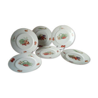 6 FLAT PORCELAIN PLATES THICK DECOR VEGETABLES 4 SEASONS