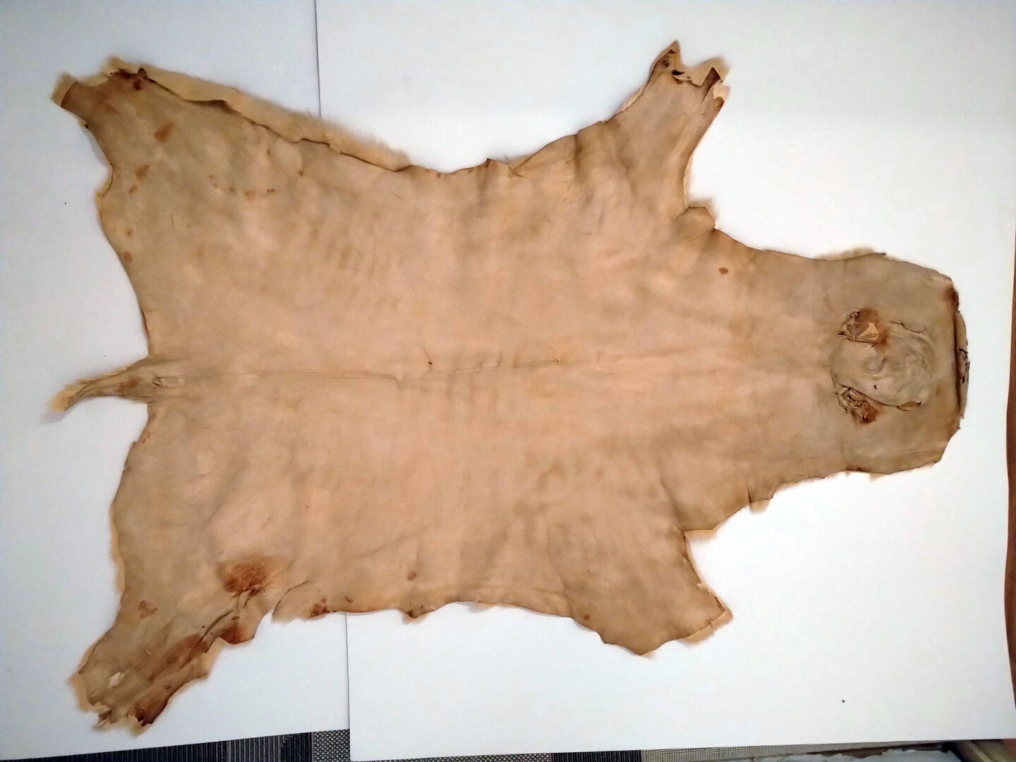 Vintage calf (cow) skin 80x120 cm