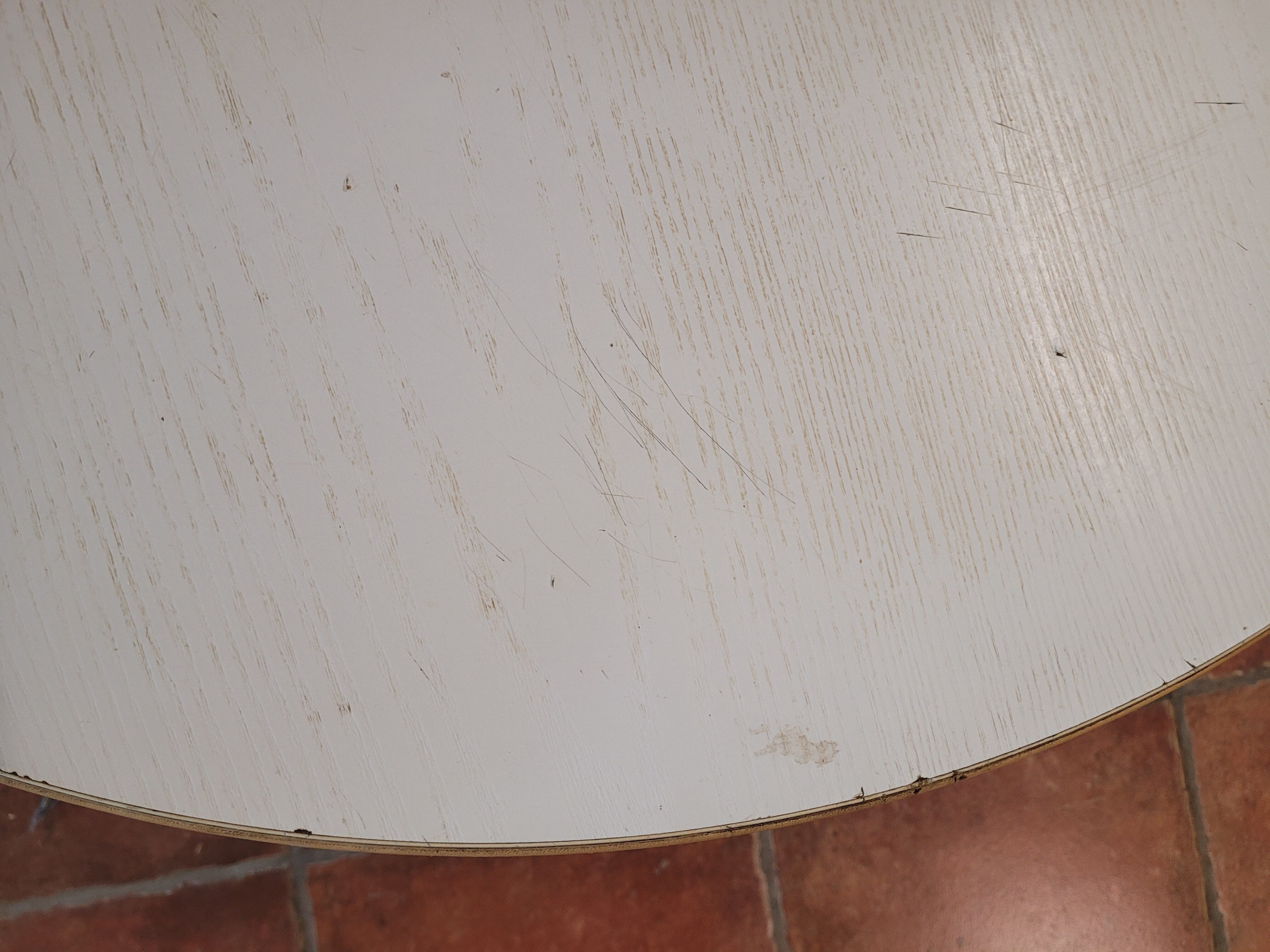 Tulip foot coffee table