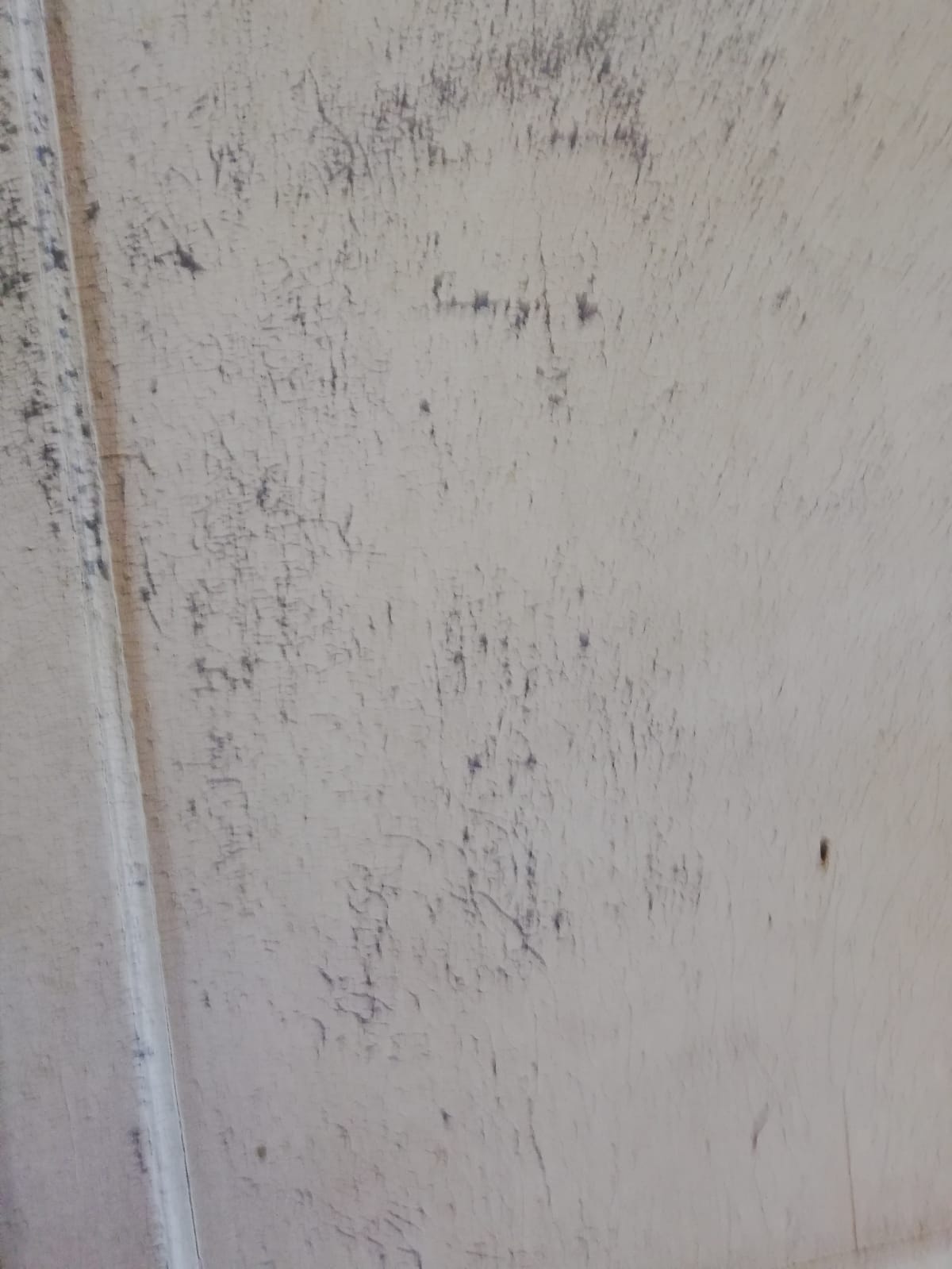 Old Parisian wardrobe 19th century