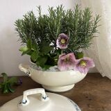 Choisy le roi "Champigny" iron earth soup tureen