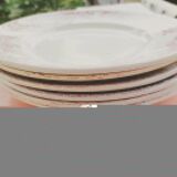 6 flat plates, Saint Amand earthenware, Fleurie series "Glycine"